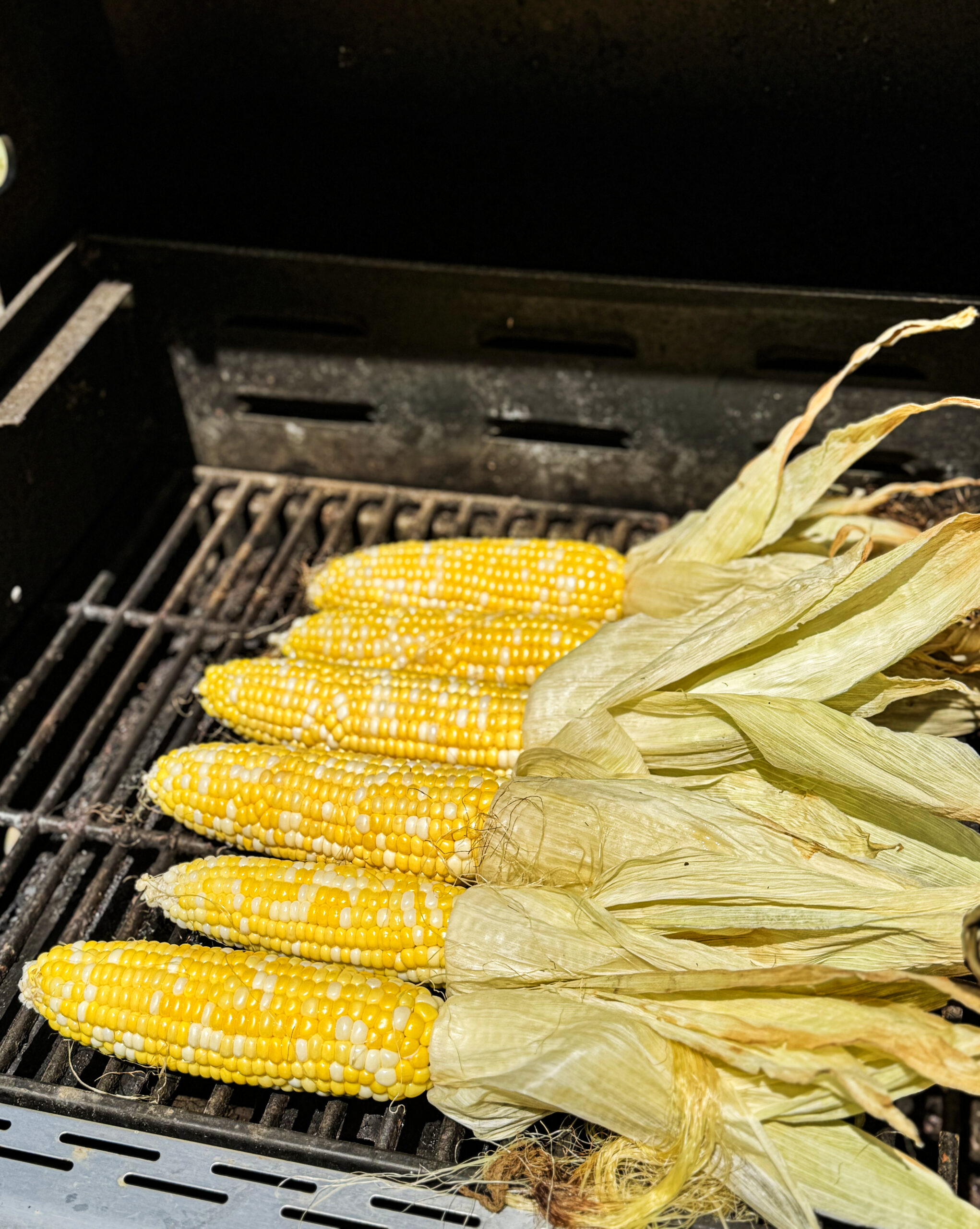 A row of corn cobs with the husks pulled back on the grill
