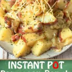 Recipe for Instant Pot Parmesan Ranch Potatoes