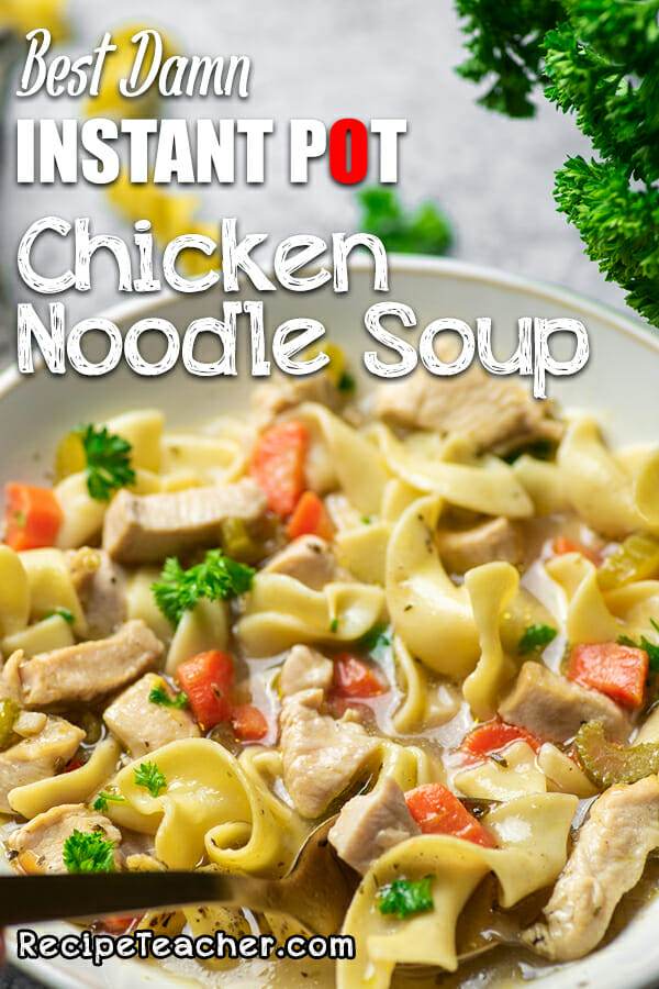 best chicken noodle soup recipes