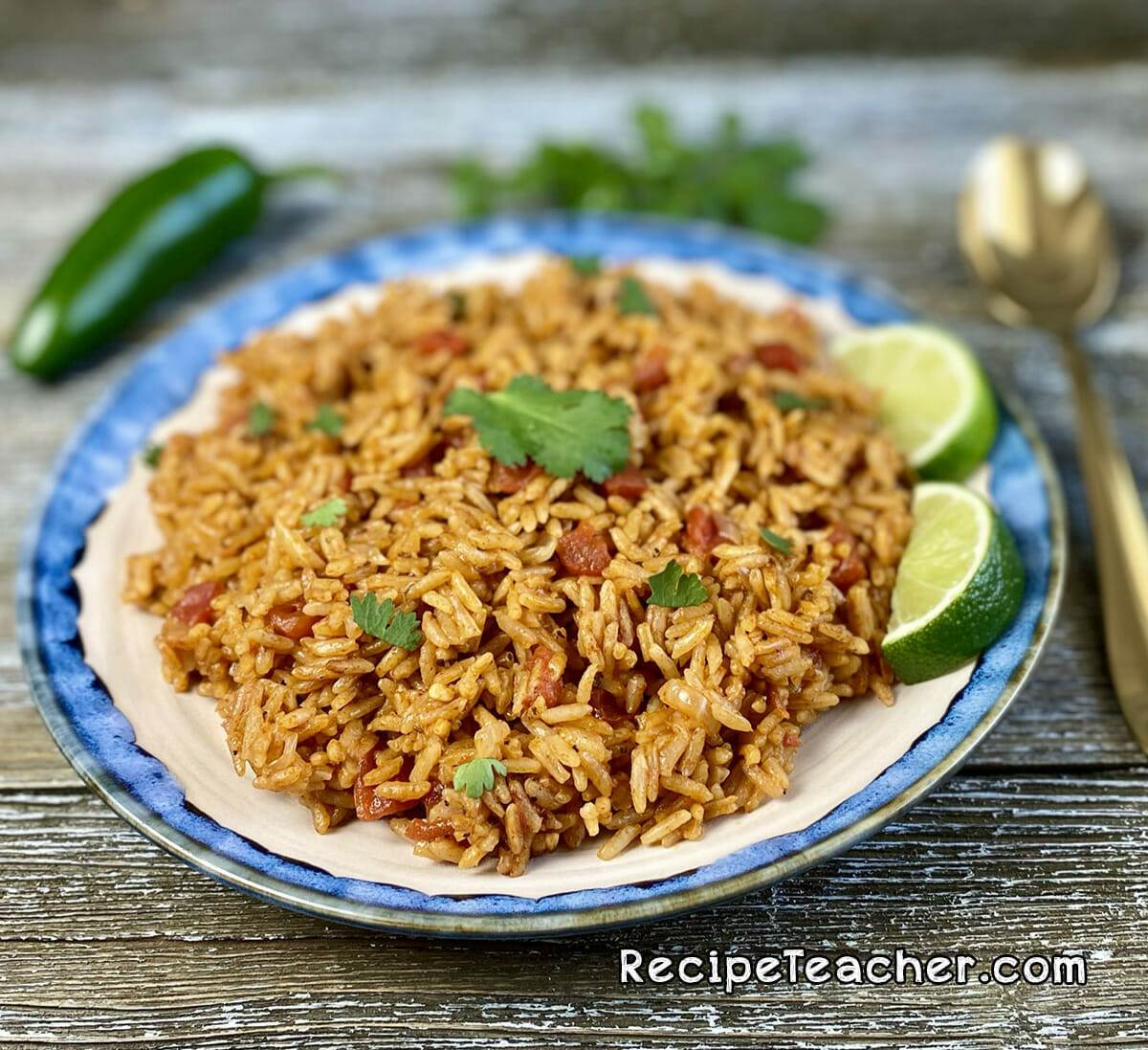 A plate of Instant Pot Spanish rice.
