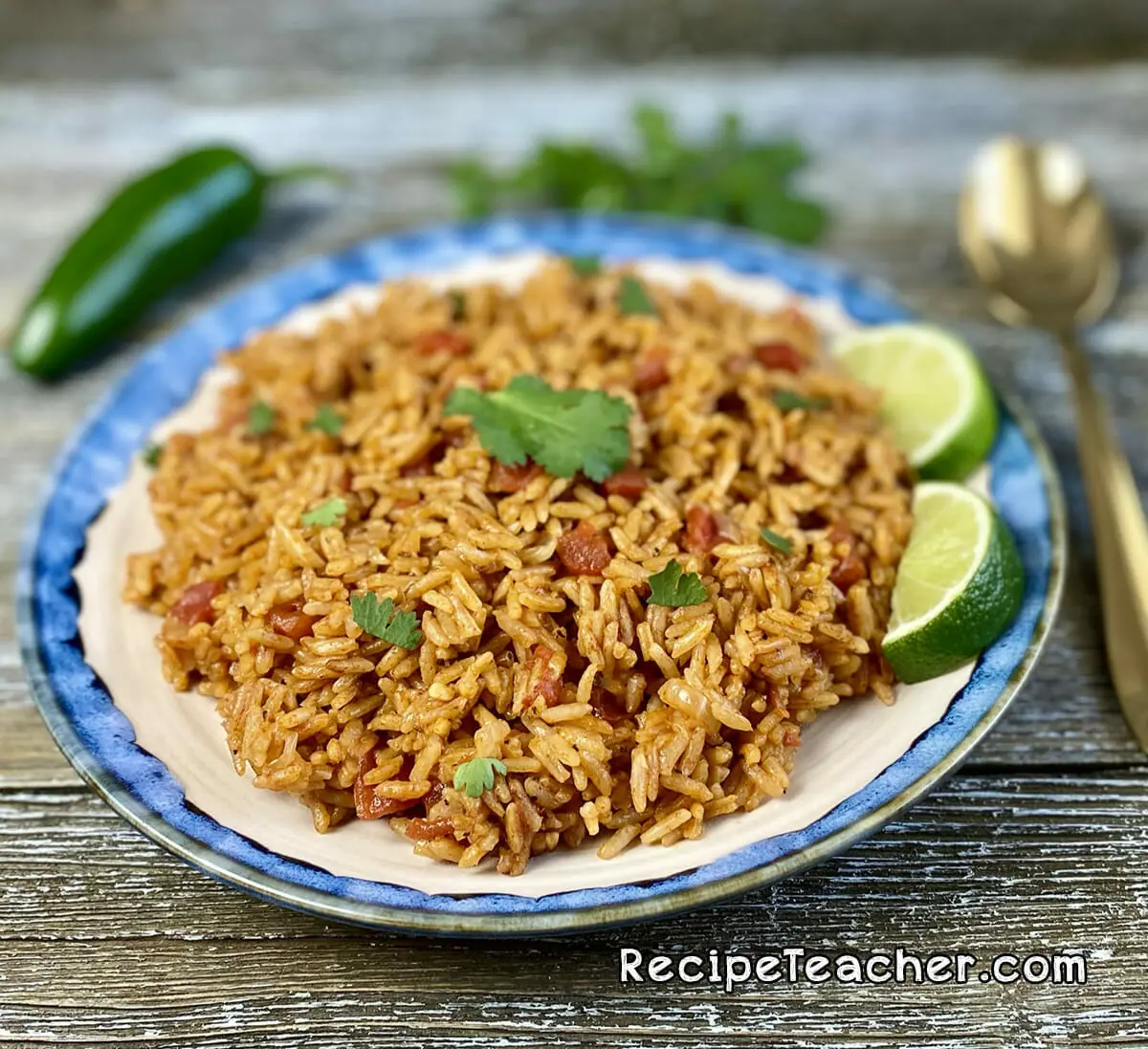 A plate of Instant Pot Spanish rice.
