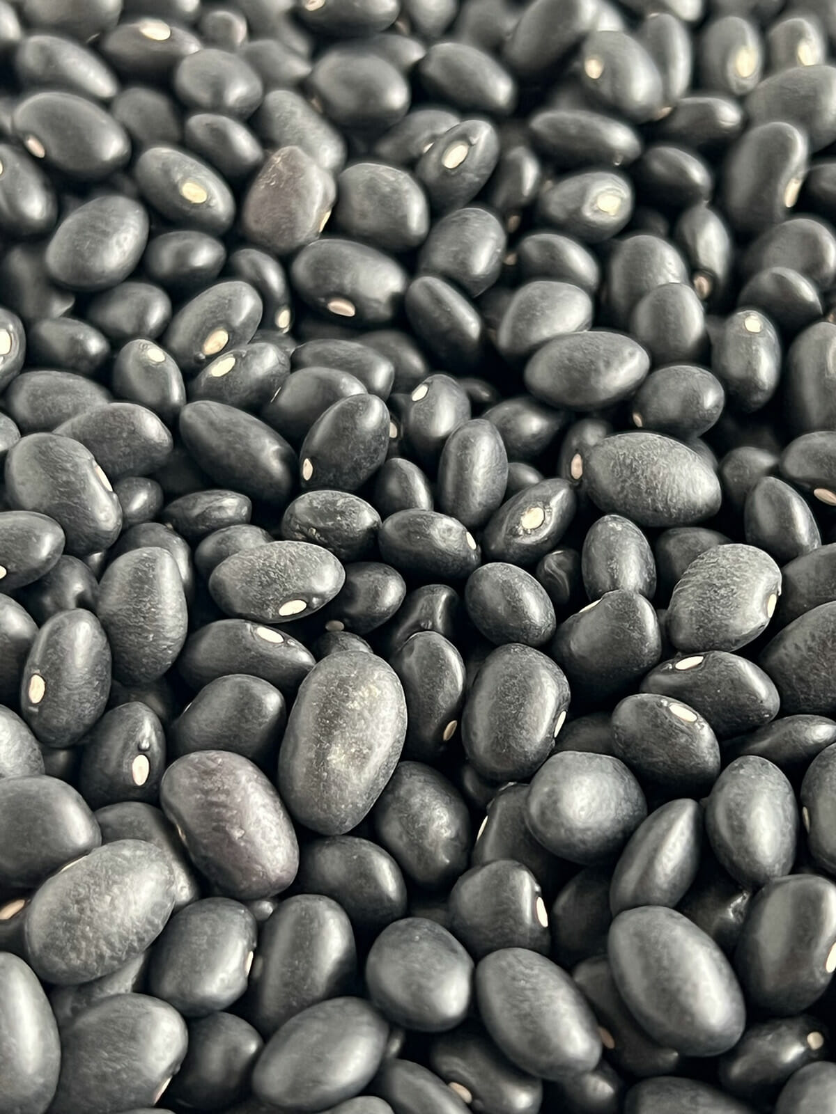 Dried black beans ready to be made in an Instant Pot pressure cooker.