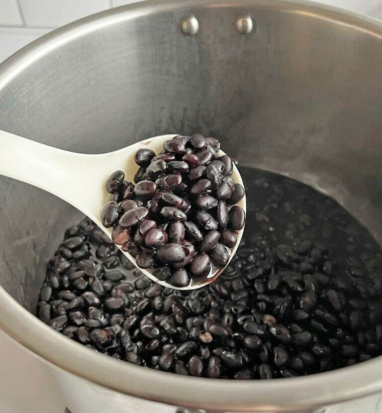 Instant Pot Black Beans (basic and easy) RecipeTeacher