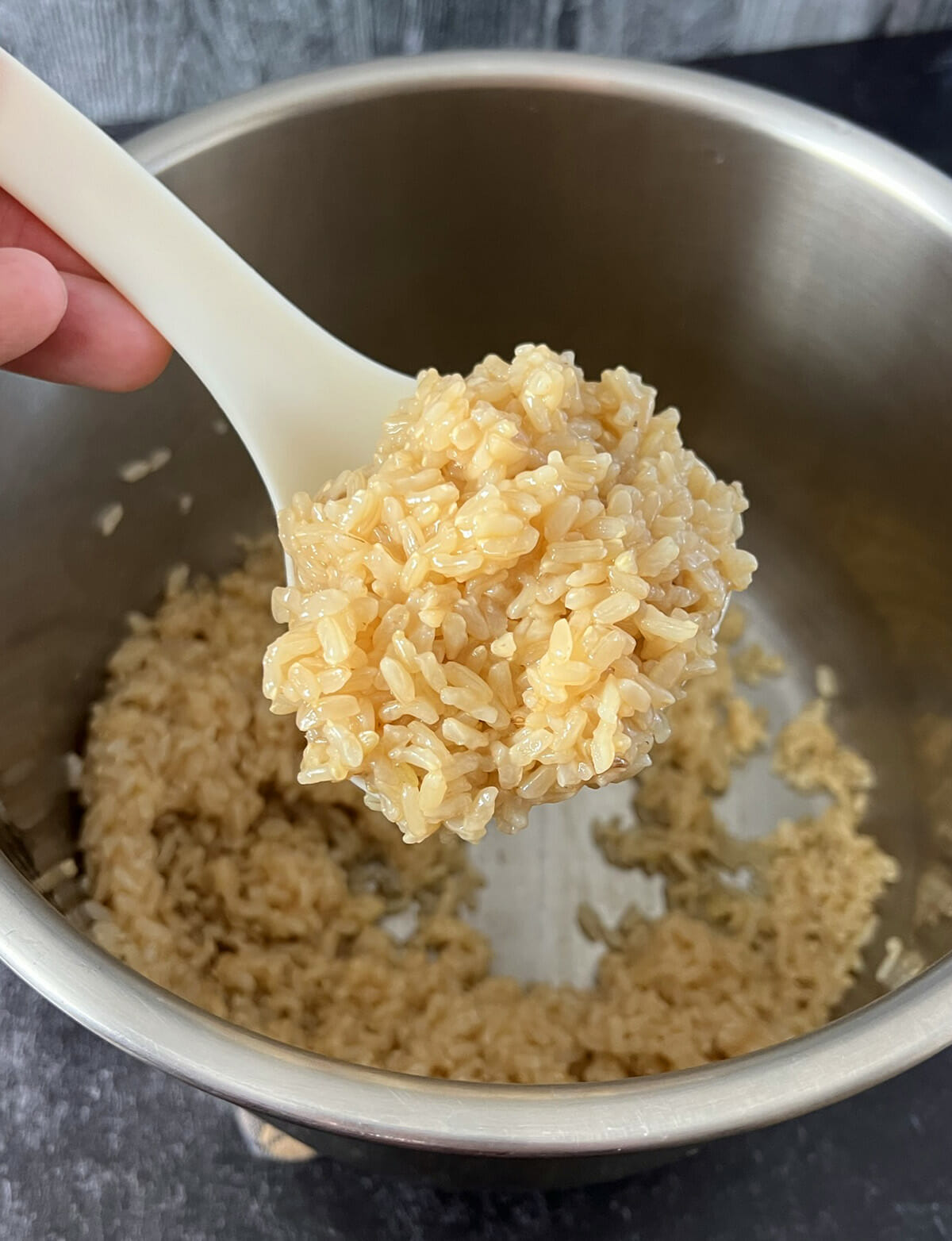 Recipe for Instant Pot brown rice
