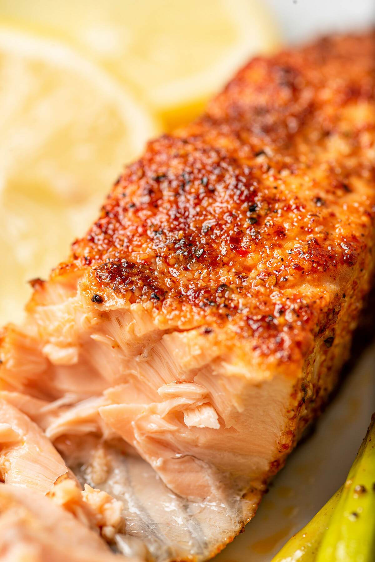 Best Damn Air Fryer Salmon