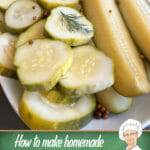 Homemade refrigerator pickles