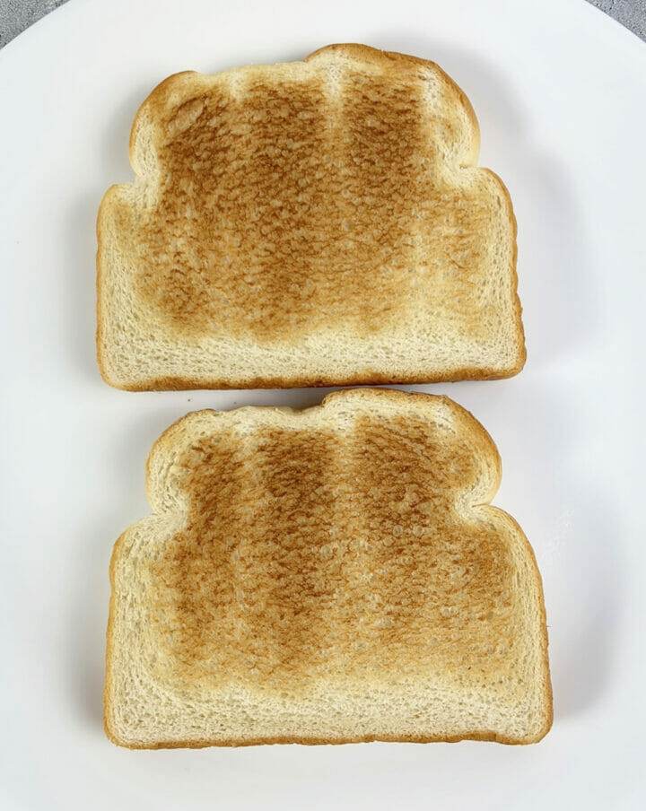 Revolution 180 Toaster Review (with video) RecipeTeacher