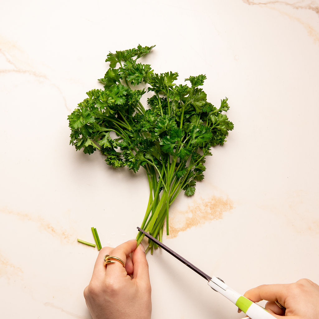 Cutting the ends of fresh parsley.