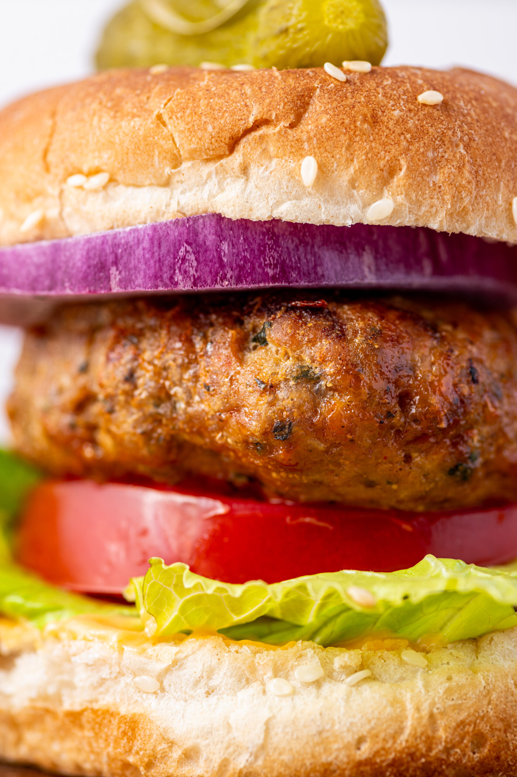 Close up of a juicy air fryer turkey burger patty.