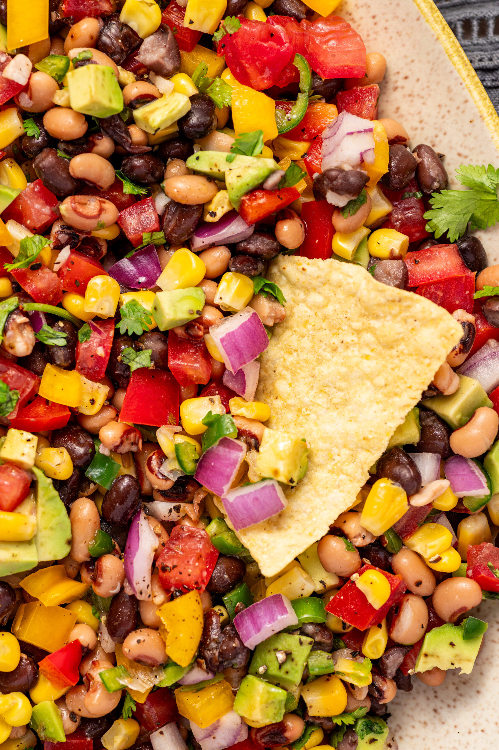 A tortillas chip dunked in a colorful sea of cowboy caviar.