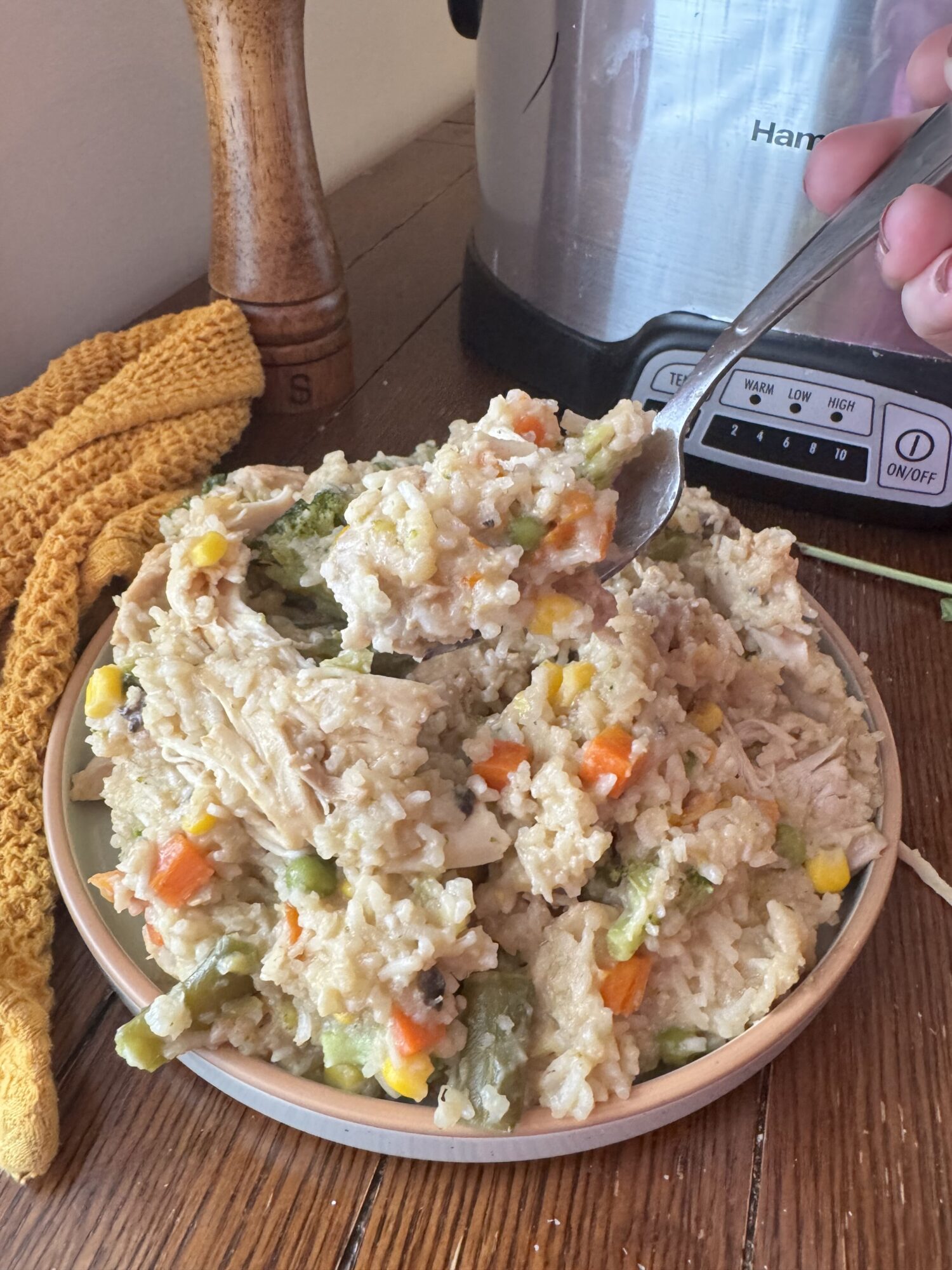 A fork dipping into a bowl of chicken and rice with a slow cooker in the background.