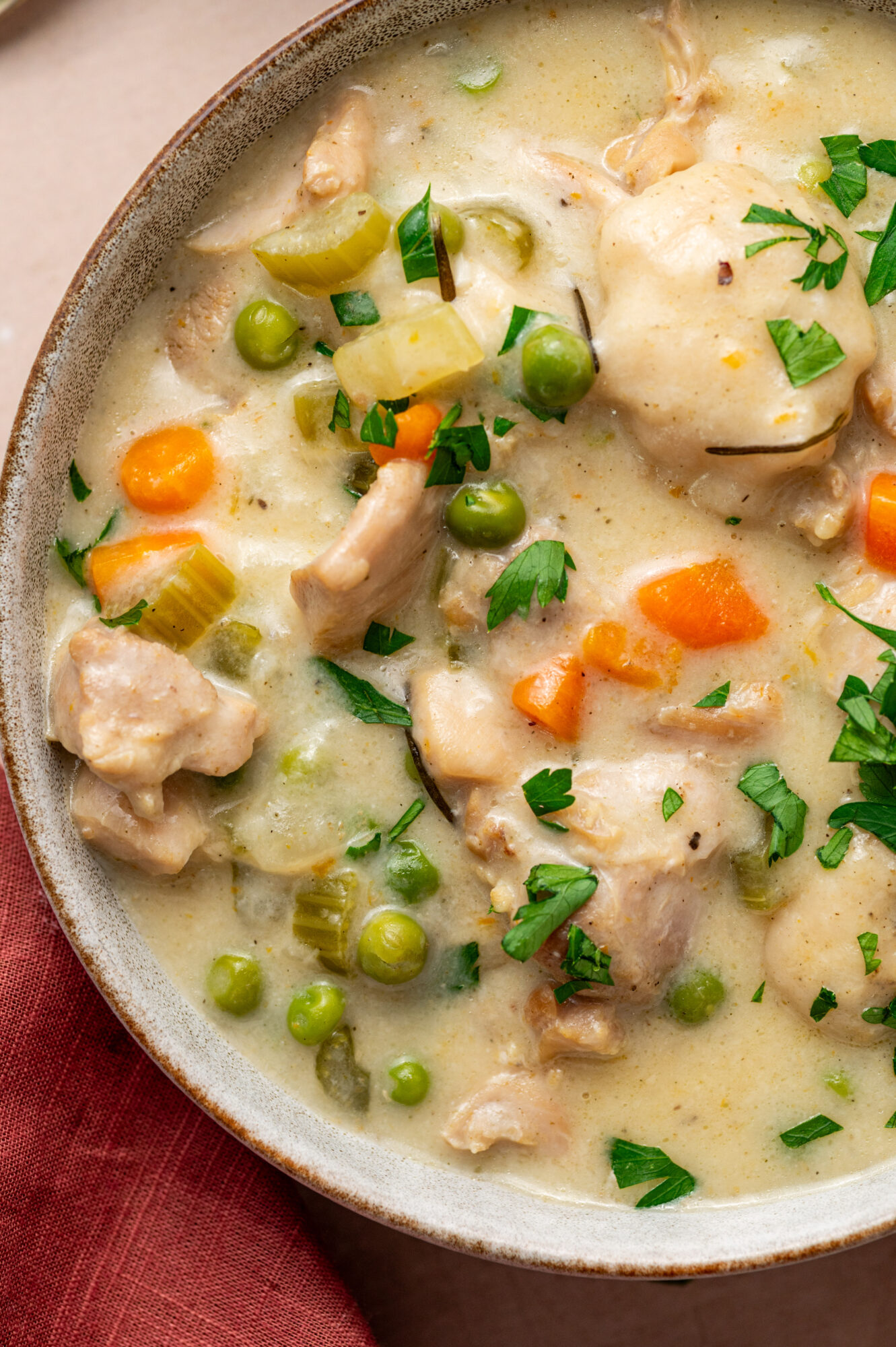 Close-up of a bowl of Instant Pot chicken and dumplings.