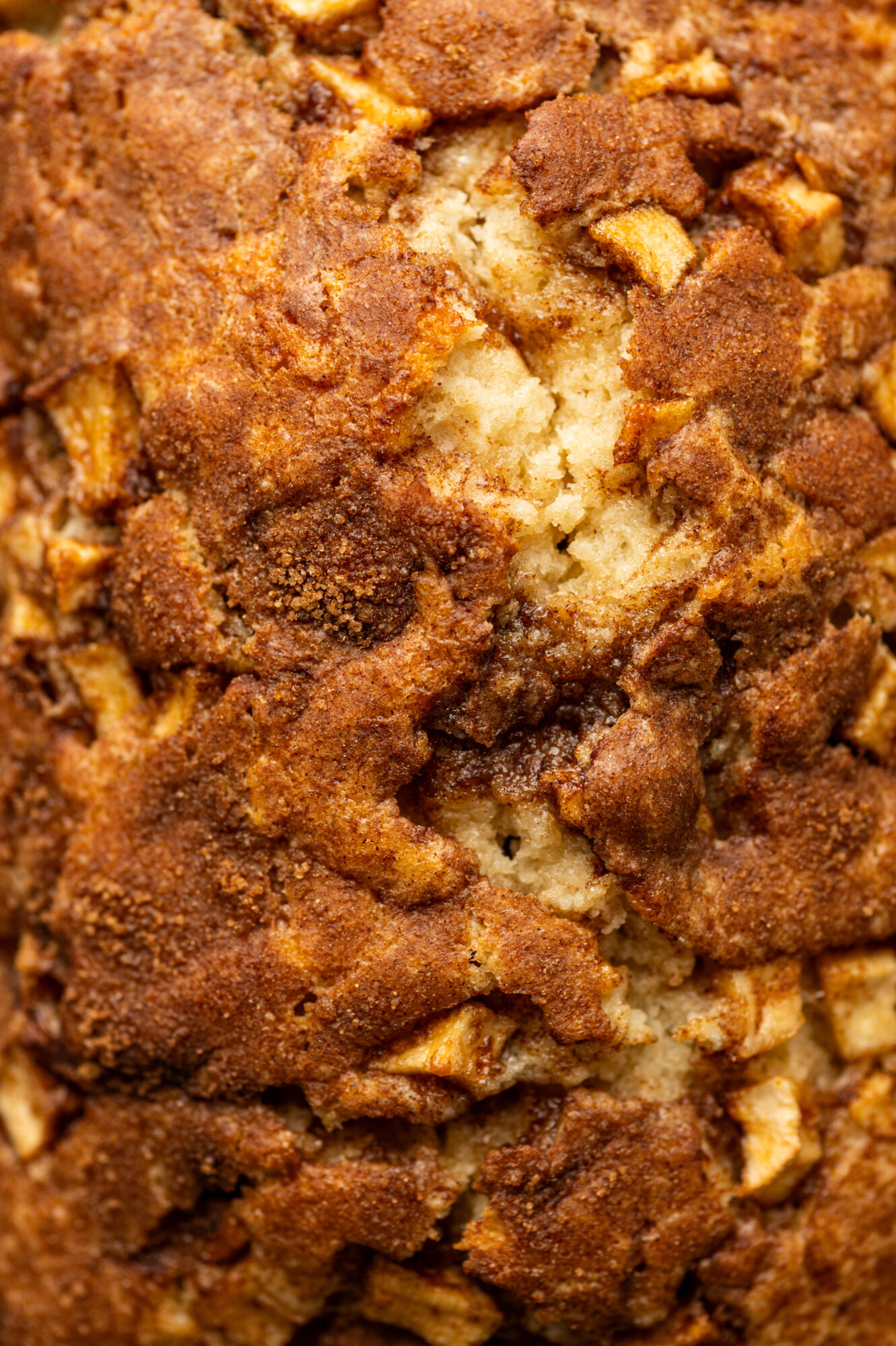 Close up of apple cinnamon bread loaf.