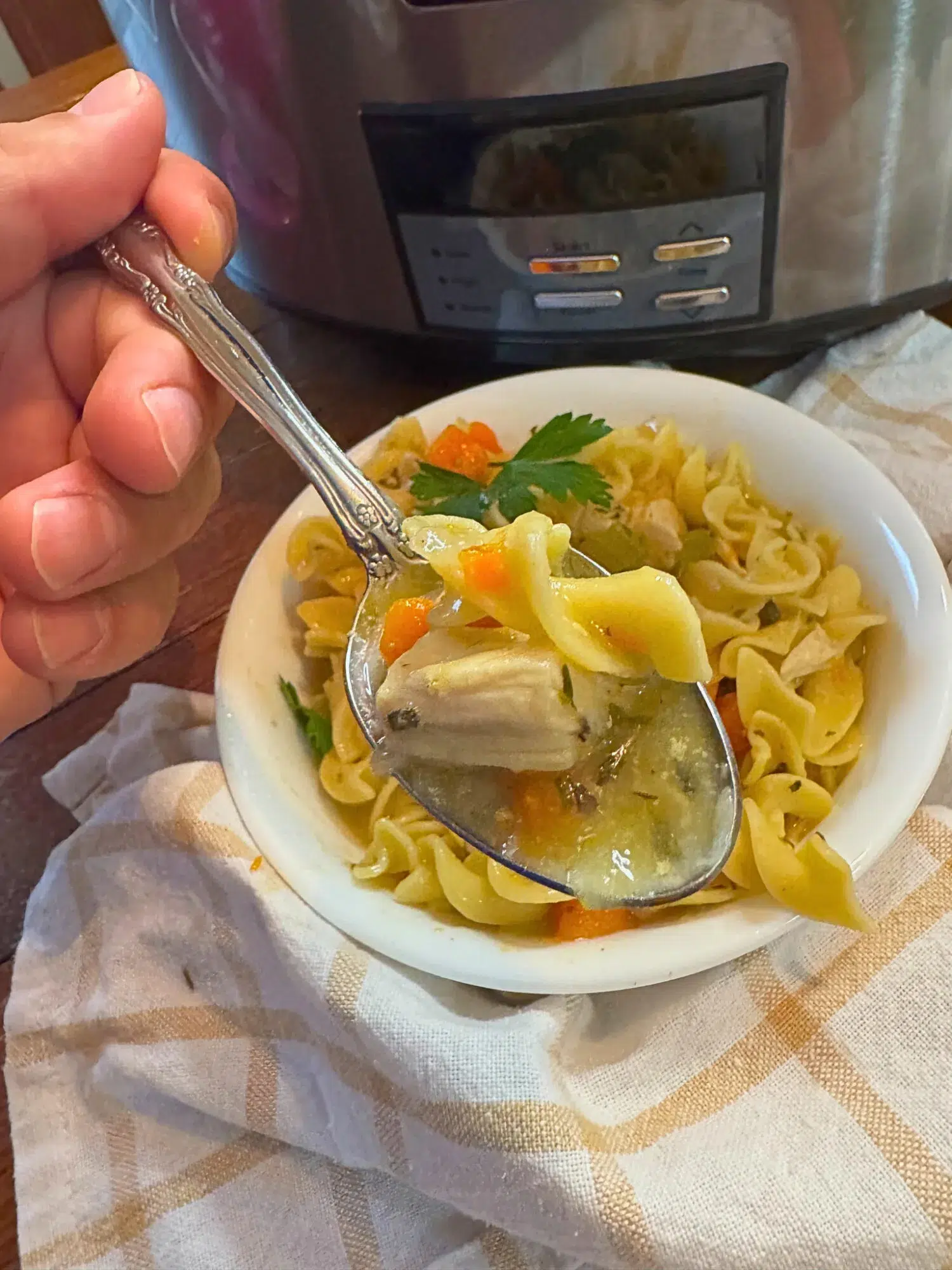 A spoonful of slow cooker chicken noodle soup.