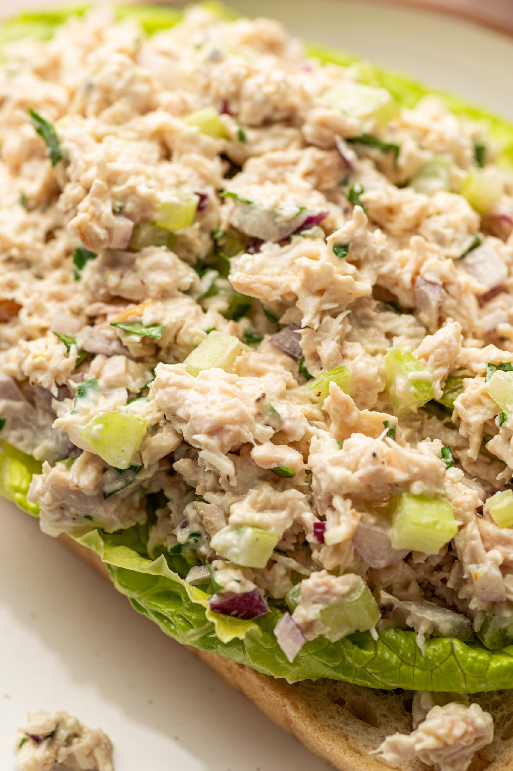 Close-up of Caesar Chicken salad over lettuce and toast.